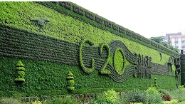 了解一下 植物LOGO墙环保又时尚!